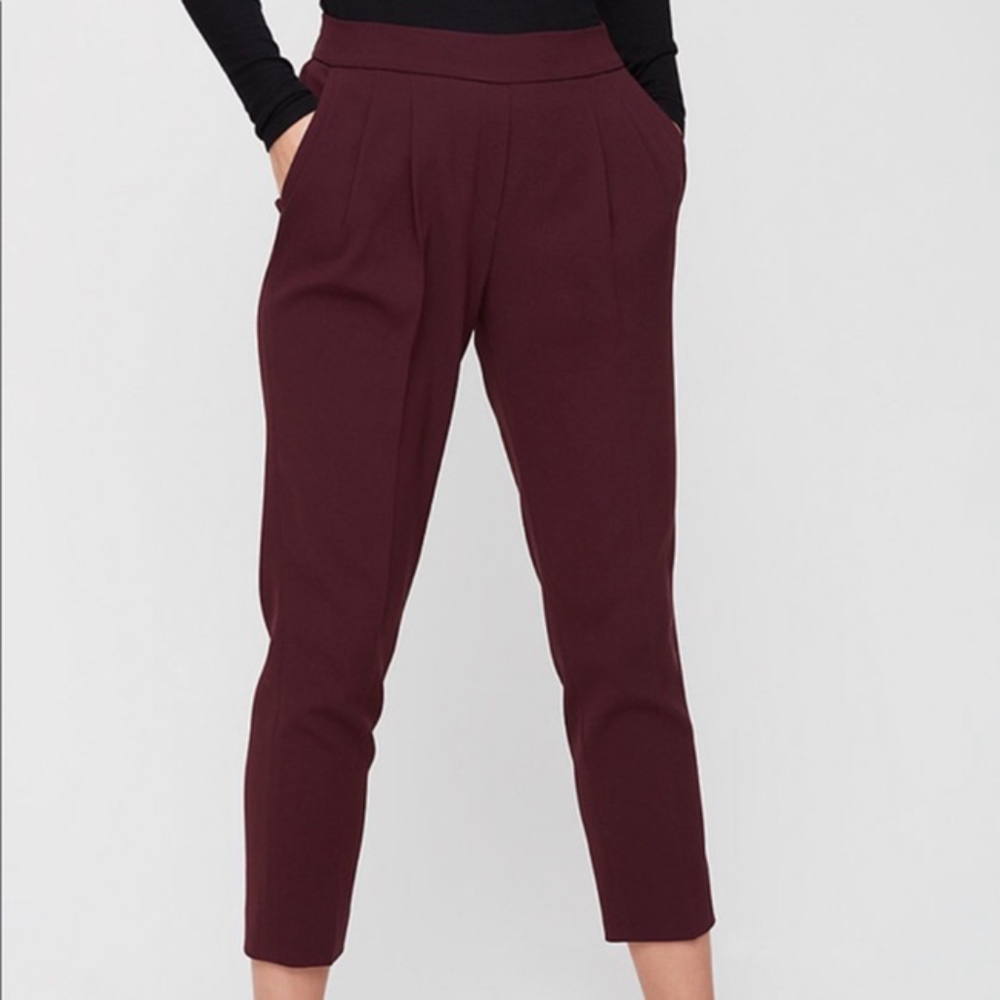 Aritzia Cohen stripe trousers in plum color